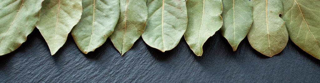 Противопоказания лечения лавровыми листьями