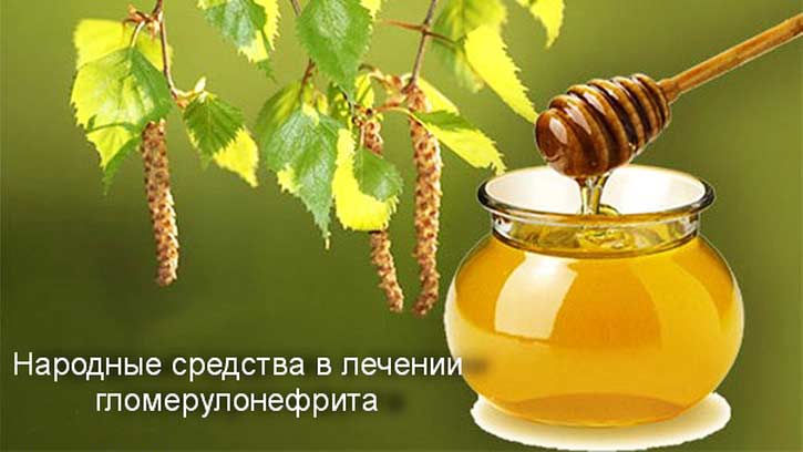 мед и березовые почки