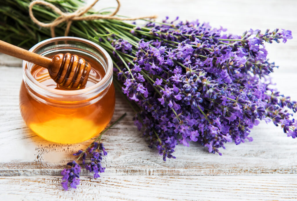 Мед и травы для лечения насморка